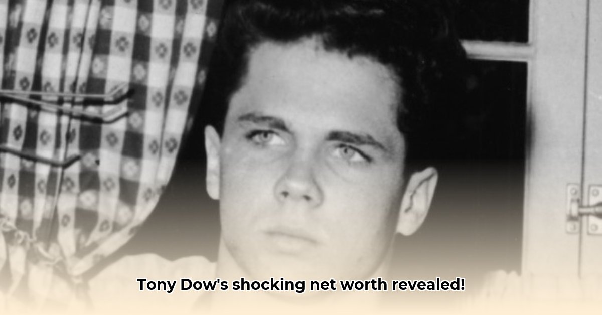 tony-dow-net-worth-at-death